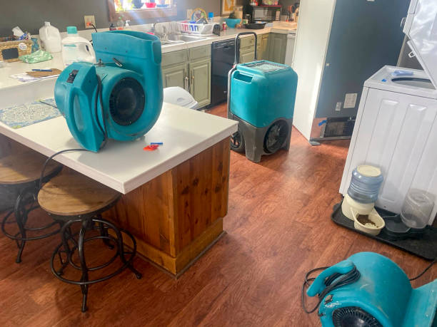 Trusted MS Water damage restoration Experts