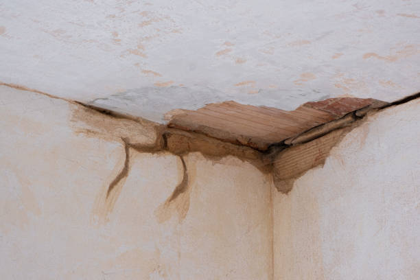 Best 24/7 water damage repair  in Leakesville, MS