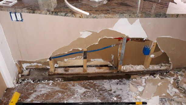 Best Sewage cleanup and water damage restoration  in Leakesville, MS