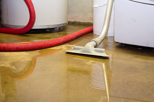 Best 24-hour water damage restoration  in Leakesville, MS