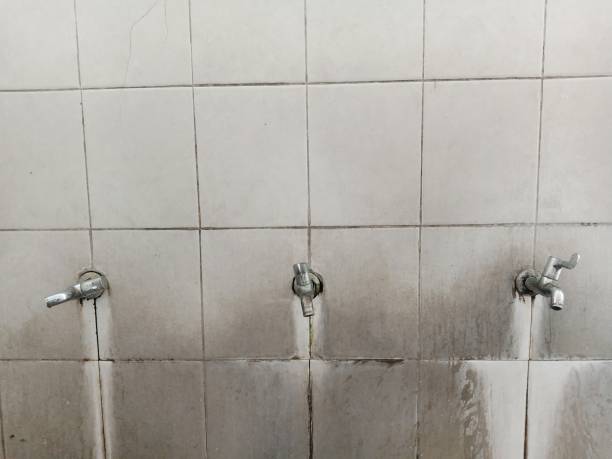 Best Flood restoration services  in Leakesville, MS
