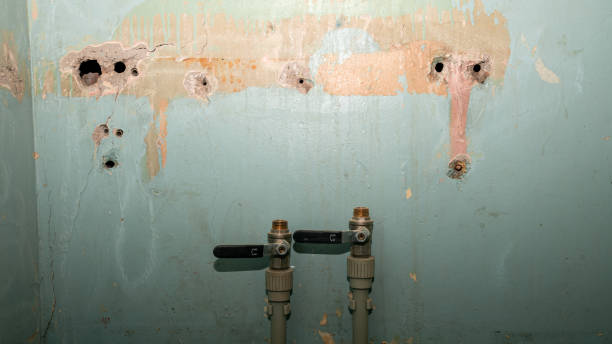 Best Water damage restoration near me  in Leakesville, MS