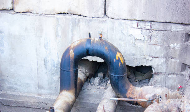 Best Mold removal after water damage  in Leakesville, MS