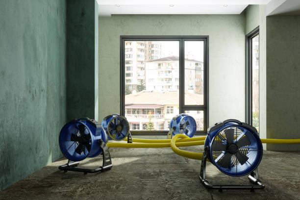 Best Commercial water damage restoration  in Leakesville, MS