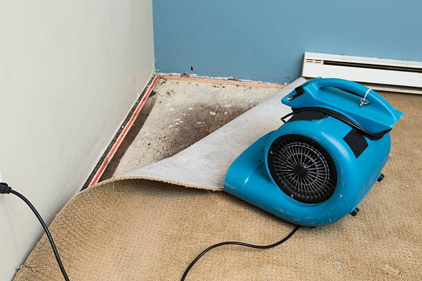  Leakesville, MS Water damage restoration Pros